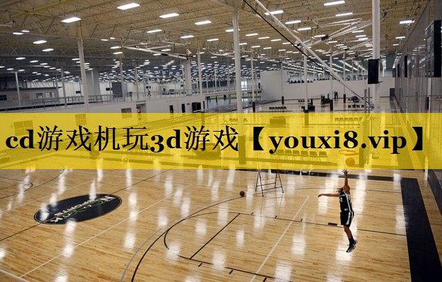 cd游戏机玩3d游戏
