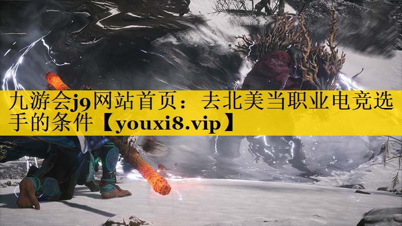 去北美当职业电竞选手的条件