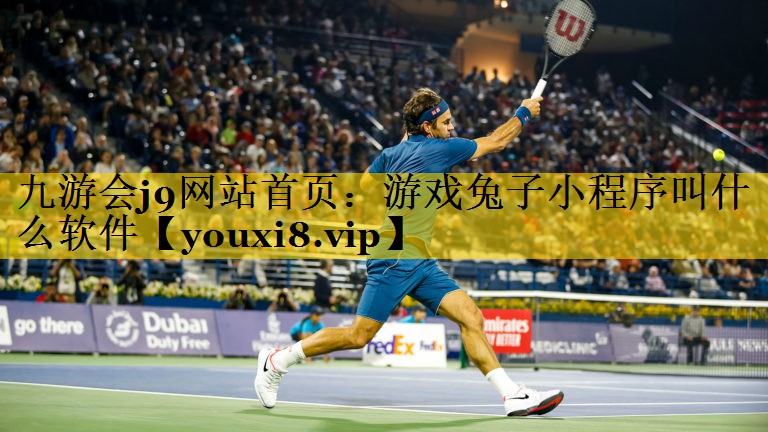 游戏兔子小程序叫什么软件