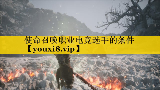 使命召唤职业电竞选手的条件