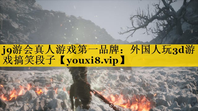 外国人玩3d游戏搞笑段子