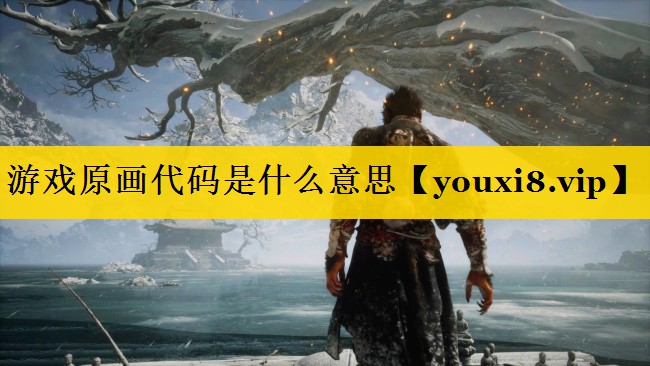 游戏原画代码是什么意思